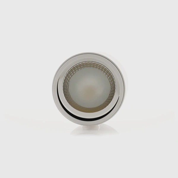 Surface downlight Nella Adjustable 12V 3CCT LED 12W WHT
